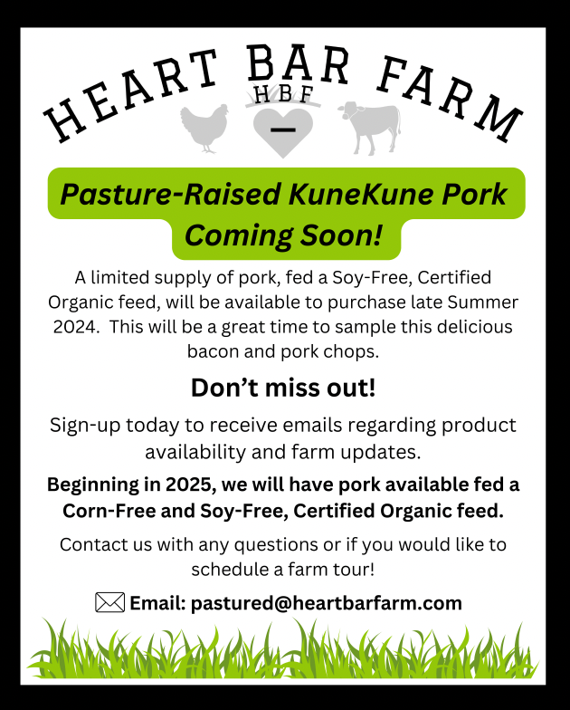 KuneKune Announcement.png